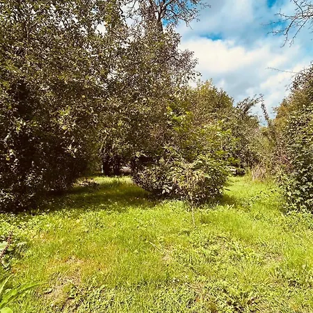 Cosy Lehde Lübbenau