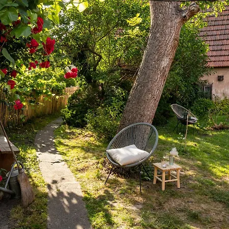 Vakantiehuis Cosy Lehde