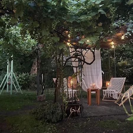 Dom wakacyjny Cosy Lehde