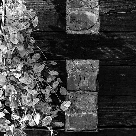 Cosy Lehde * Lübbenau