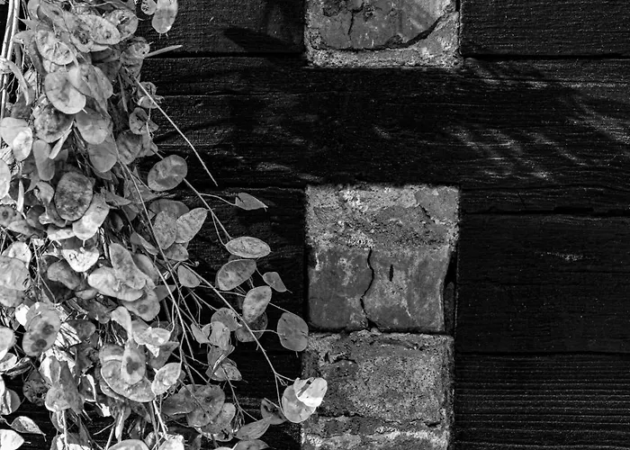 Cosy Lehde * Lübbenau